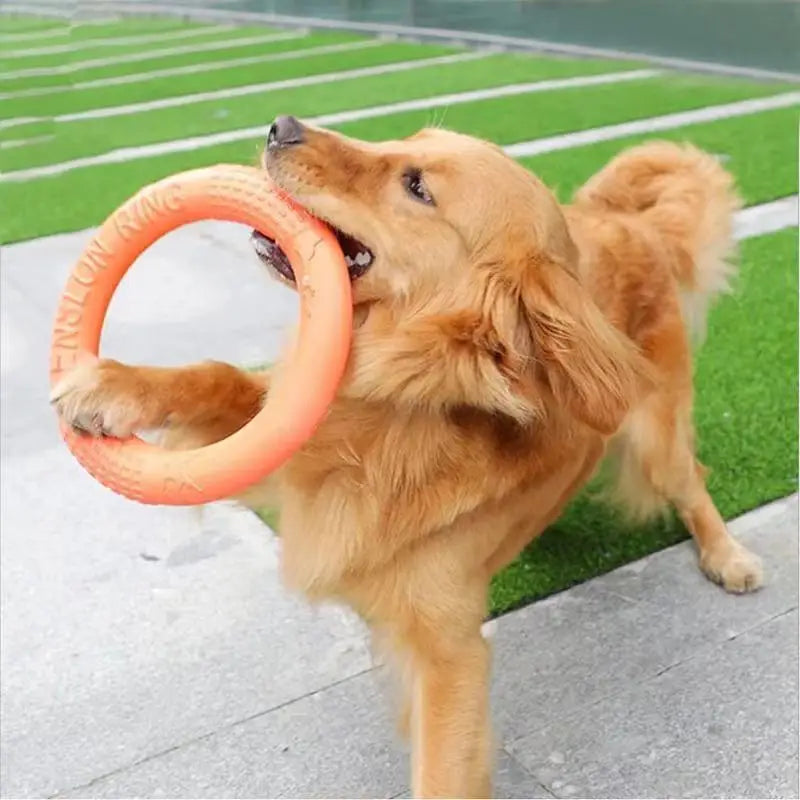 Interactive Toy Floating Hoop for Dogs